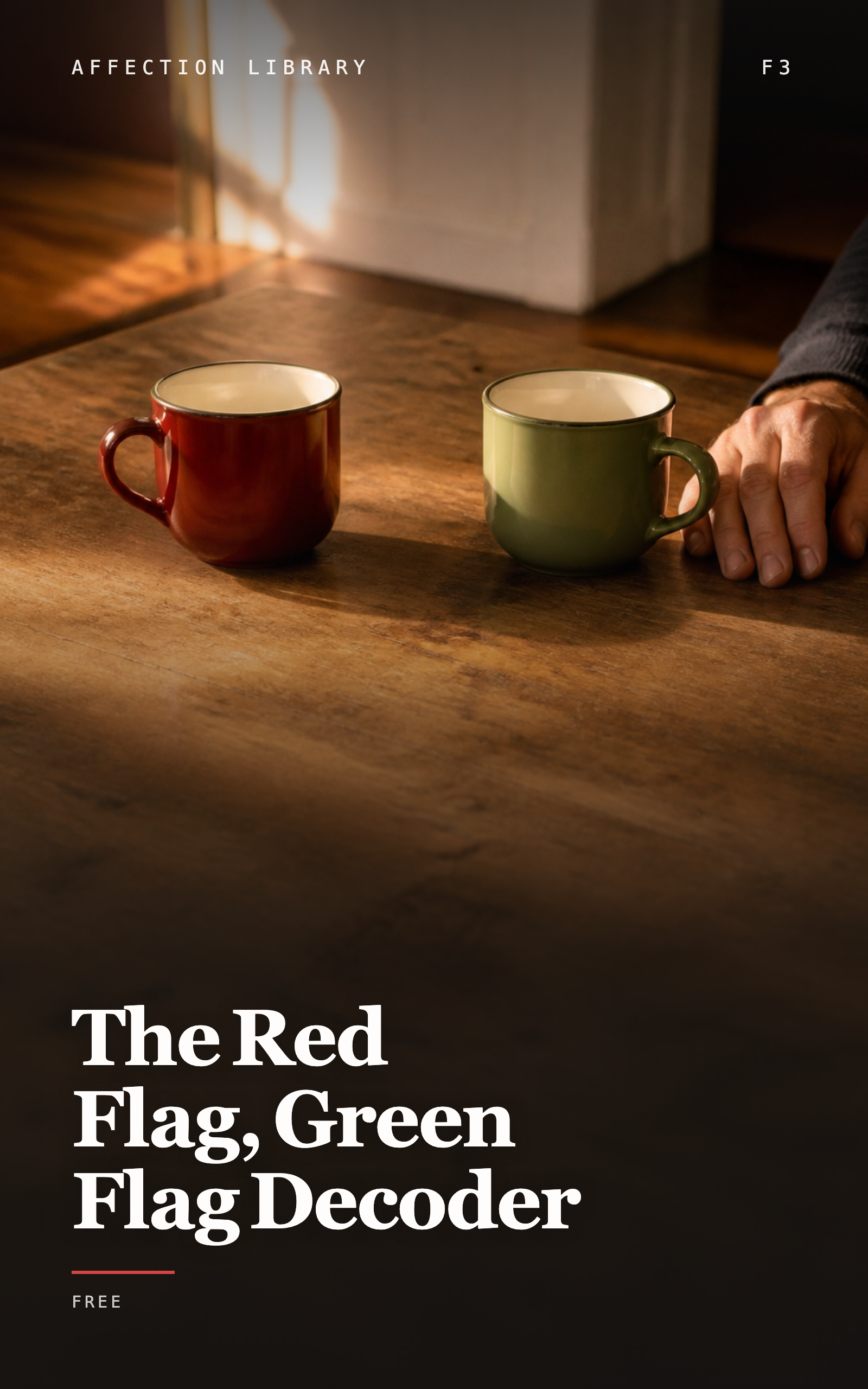 Cover of The red flag, green flag decoder